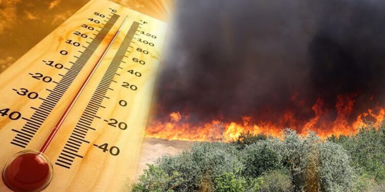 Kavurucu Sıcaklar Kapıda, Termometreler Fırlayacak! Bakan Kurum'dan Yangın Riskine Karşı Kritik Uyarı