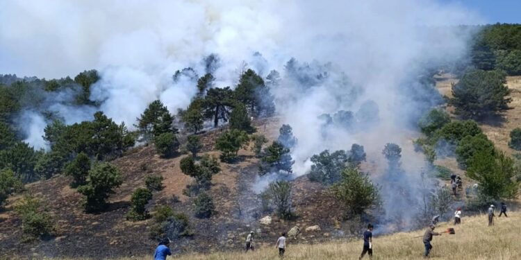 Konya'da Orman Yangını! Helikopterler Devreye Girdi