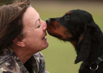 Köpekler artık yasal olarak aile üyesi kabul edilecek