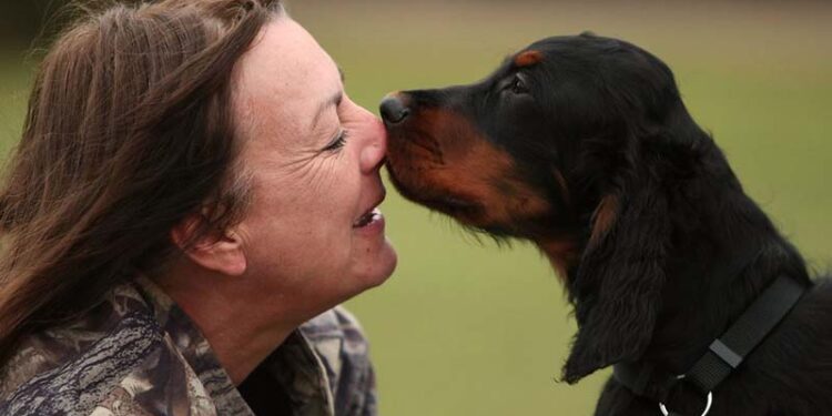 Köpekler artık yasal olarak aile üyesi kabul edilecek