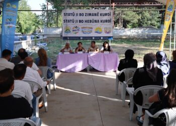 'Kürtçeye statü' paneli düzenlendi