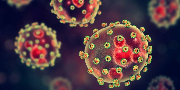 Lassa Kabusu Can Almaya Devam Ediyor! Ölü Sayısı 151'e Yükseldi