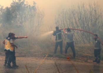 Lazkiye'deki Orman Yangınlarından 10 Gün Sonra Sevindiren Haber