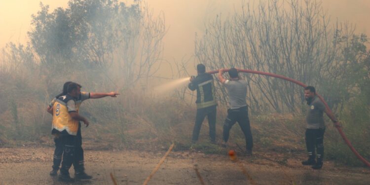 Lazkiye'deki Orman Yangınlarından 10 Gün Sonra Sevindiren Haber