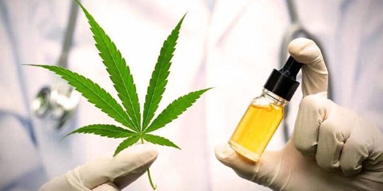 Meclis'ten geçti: Tıbbi kenevir eczanelerde satılabilecek