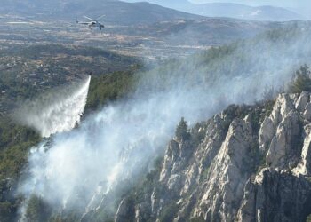 Muğla Büyükşehir Belediyesi'nde tüm izinler iptal edildi; elektrik dağıtım şirketleri için 'denetim' uyarısı yapıldı