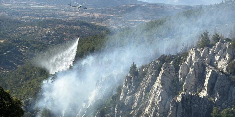 Muğla Büyükşehir Belediyesi'nde tüm izinler iptal edildi; elektrik dağıtım şirketleri için 'denetim' uyarısı yapıldı