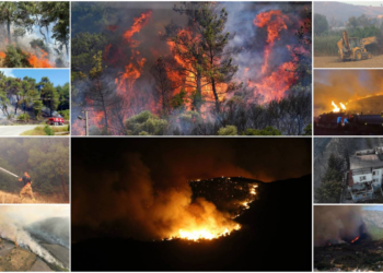 Ormanları kasten yakana 'müebbet hapis' düzenlemesi TBMM gündeminde