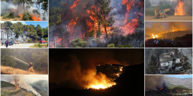 Ormanları kasten yakana 'müebbet hapis' düzenlemesi TBMM gündeminde