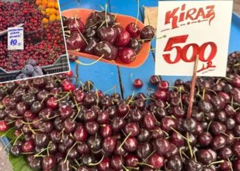 Piyasa genelinde 350 baz puanlık indirim beklentisi kabul gördü