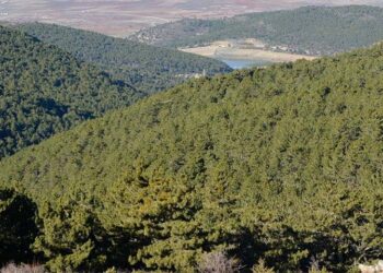 Sakarya'da ormanlık alanlara girişler ve yanıcı madde satışı yasaklandı
