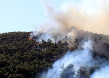 Suriye Lazkiye'de Orman Yangını