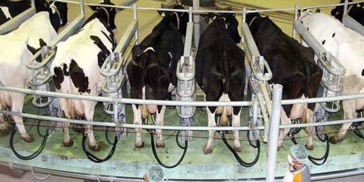 Süt Fiyatı Üreticiyi Değil Sanayiciyi Sevindirdi