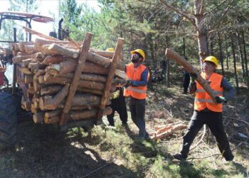 TİS görüşmesi 15-20 güne kadar bitmezse grev kararı almak durumundayız