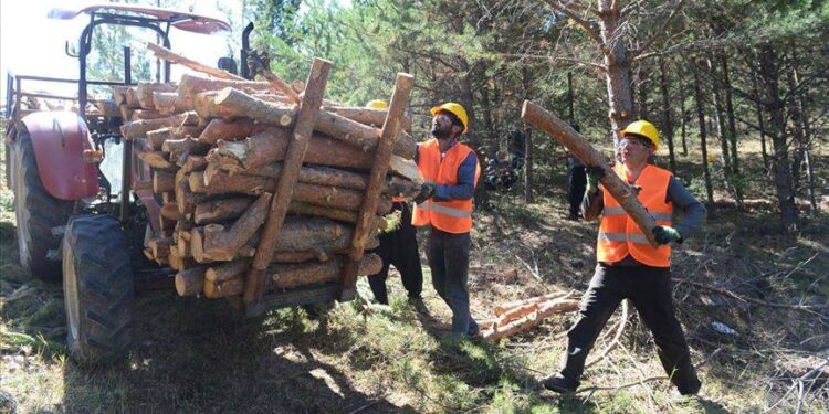 TİS görüşmesi 15-20 güne kadar bitmezse grev kararı almak durumundayız