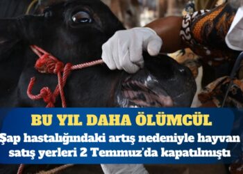 TZOB başkanı: Bu yıl görülen şap virüsü daha ölümcül