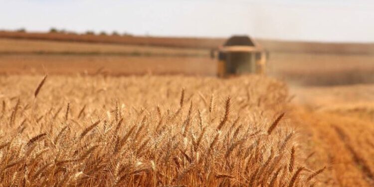 Tarlası bağı-bahçesi olan çiftçiler 15 Temmuz'a dikkat!