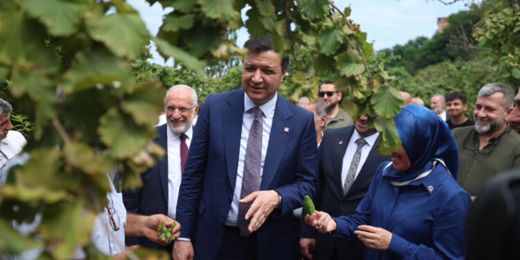 Trabzonlu hemşerim emek veriyor ama nimetini Hamburg'daki fındık lobileri yiyor!