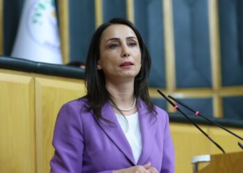 Tülay Hatimoğulları'ndan Orman Yangınları Tepkisi