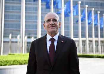 Türk lirasındaki oynaklık ciddi biçimde azaldı, Türkiye'nin büyüme potansiyeli yüksek