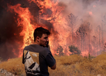 Türkiye'deki orman yangınlarında son durum