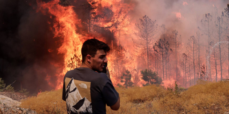 Türkiye'deki orman yangınlarında son durum
