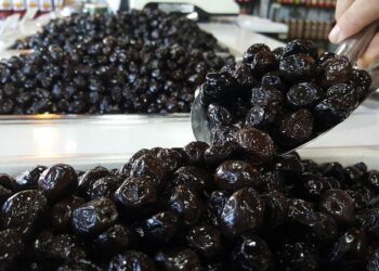 Türkiye'den Almanya'ya Gönderilen Siyah Zeytinde Bakteri Riski