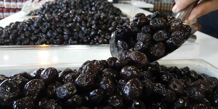 Türkiye'den Almanya'ya Gönderilen Siyah Zeytinde Bakteri Riski