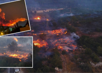 Yangın Kabusu İzmir'i Sardı: Köyler Boşaltıldı, Otoyol Kapandı