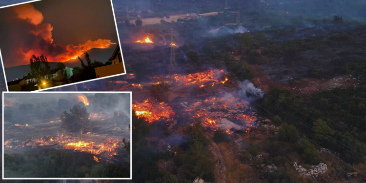 Yangın Kabusu İzmir'i Sardı: Köyler Boşaltıldı, Otoyol Kapandı
