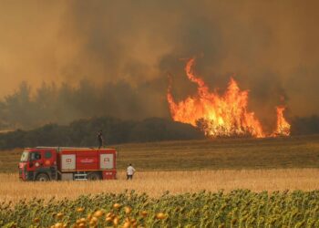 Yerleşim yerlerinde yangının enerjisi düştü, geç saatlerde nemin yükselmesiyle daha iyi sonuç alacağız
