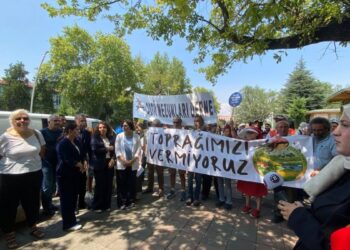 Zeytinliklere dair kanun teklifi Genel Kurul’da görüşülüyor