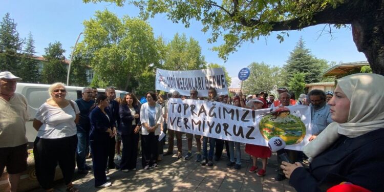 Zeytinliklere dair kanun teklifi Genel Kurul’da görüşülüyor