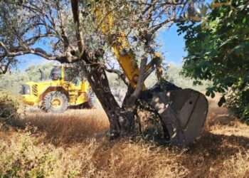 Zeytinliklerin madencilik faaliyetlerine açılmasını öngören teklifin ilk 18 maddesi kabul edildi