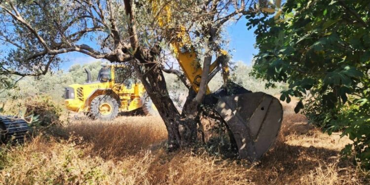 Zeytinliklerin madencilik faaliyetlerine açılmasını öngören teklifin ilk 18 maddesi kabul edildi