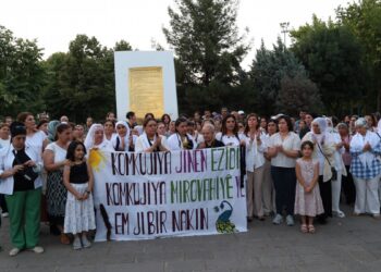 ‘Durzi ve Alevilere yönelik şiddet Êzidî katliamını hatırlatıyor’