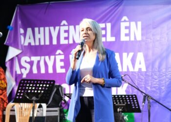 Çiğdem Kılıçgün Uçar: Komisyondaki partiler süreci sahiplenmeli