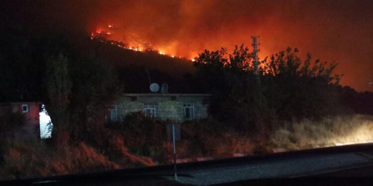 Licê’deki yangın yerleşim yerlerine yaklaştı: Hava desteği olmadan söndürülmesi mümkün değil