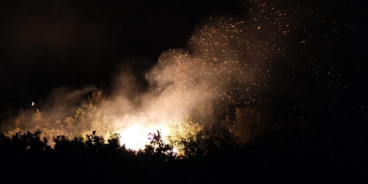TMMOB’dan Lice’deki yangın için çağrı: Derhal hava desteği yönlendirilmelidir
