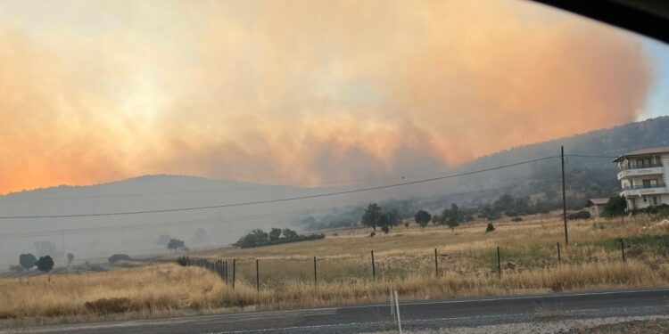 Hêni’deki yangın Licê’ye yayılarak devam ediyor