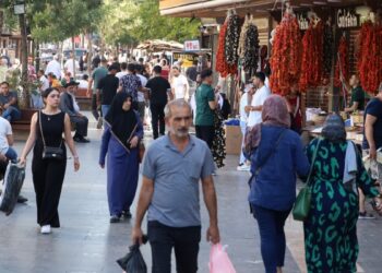 Amed ve Wan’da halkın komisyondan beklentileri