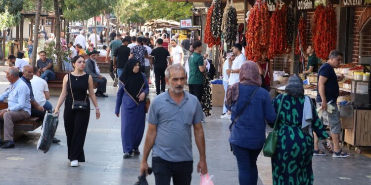 Amed ve Wan’da halkın komisyondan beklentileri