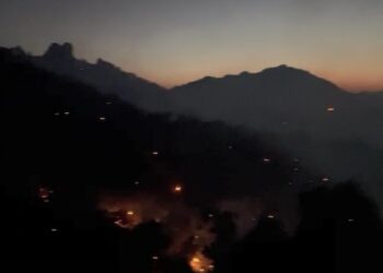 Licê’de yangın bölgesinde yurttaşlar nöbette