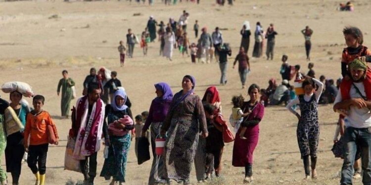 Yüzleşme ve Êzidî soykırımını tanıma çağrısı
