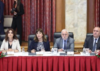 Meclis komisyonu toplandı: Karar alma süreçleri yerinden yönetimi içermeli