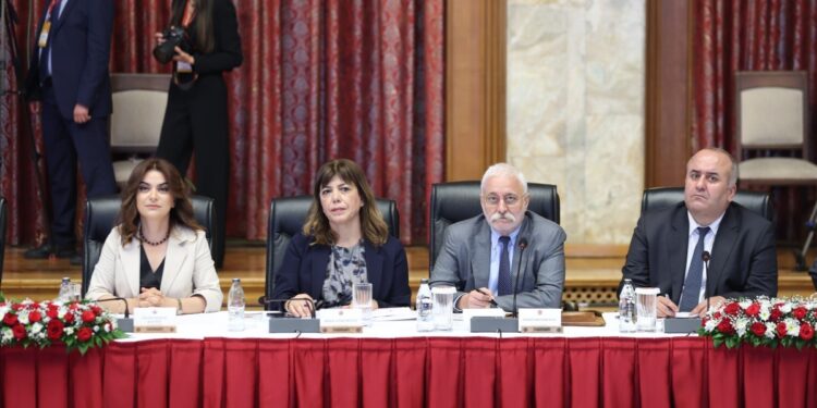 Meclis komisyonu toplandı: Karar alma süreçleri yerinden yönetimi içermeli