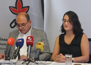 İHD ve ÖHD’den silah imha töreni raporu ve çözüm önerileri