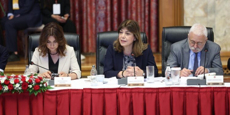 DEM Parti komisyon üyeleri: Güven ortamı oluşturulmalı