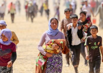 KNK: Şengal’in statüsü tanınmalı