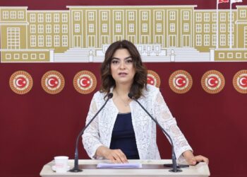Gülistan Kılıç Koçyiğit: Komisyon yol haritasını tartışacak
